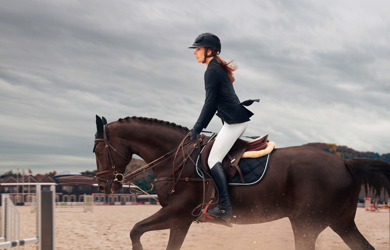 Preventing and Managing Common Jumping Injuries in Horses